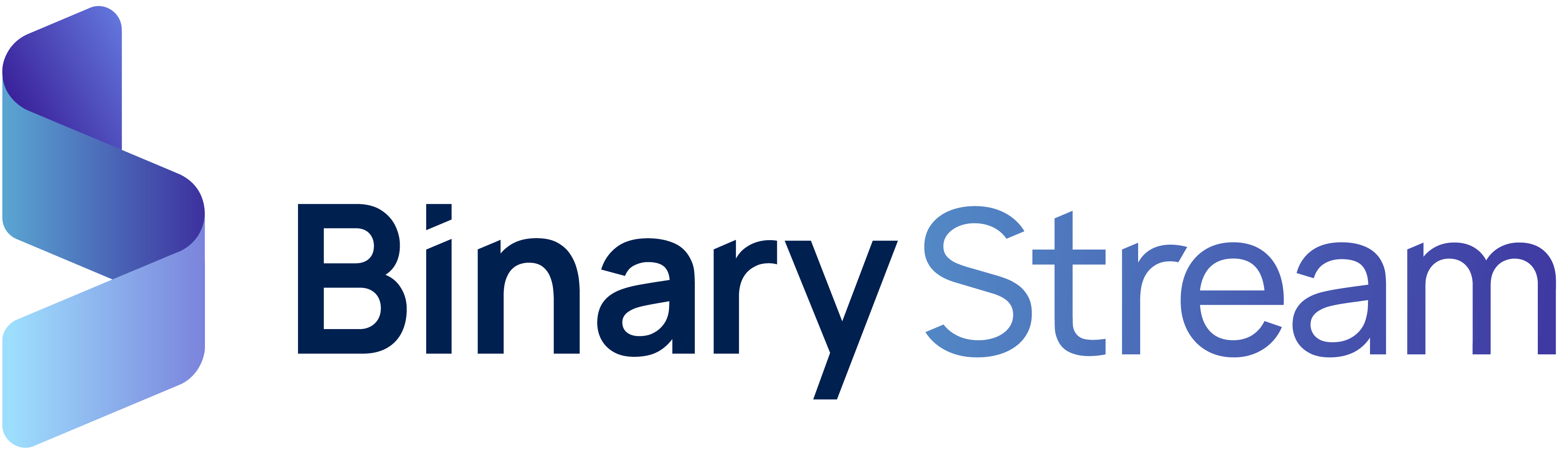 Binary_Stream_Brandmark_Main